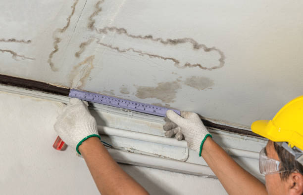 Reliable Water Removal contractor in Spring Hill, KS by Water Damage Irwin